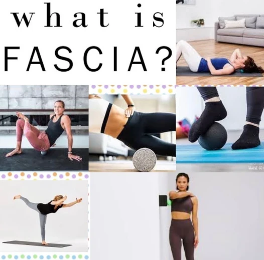 What is fascia?